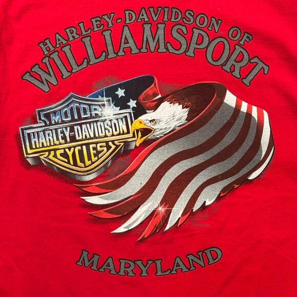 Vintage harley davidson 1903 williamsport - Picture 4 of 6